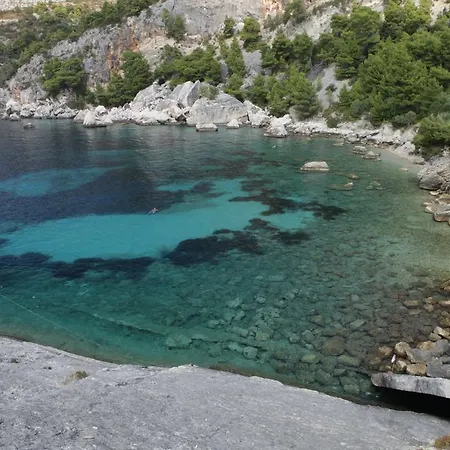 Robinson Erina * Zarače