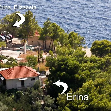 Robinson Erina * Zarače